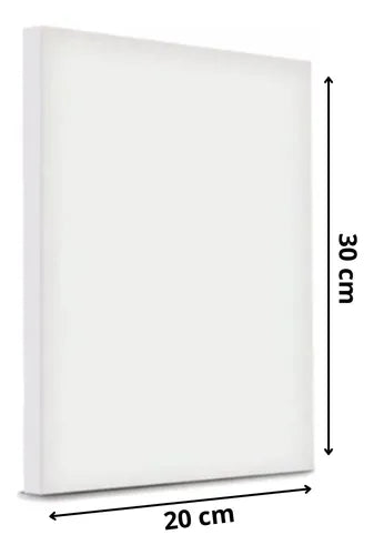 LIENZO PARA PINTAR 20X30CM