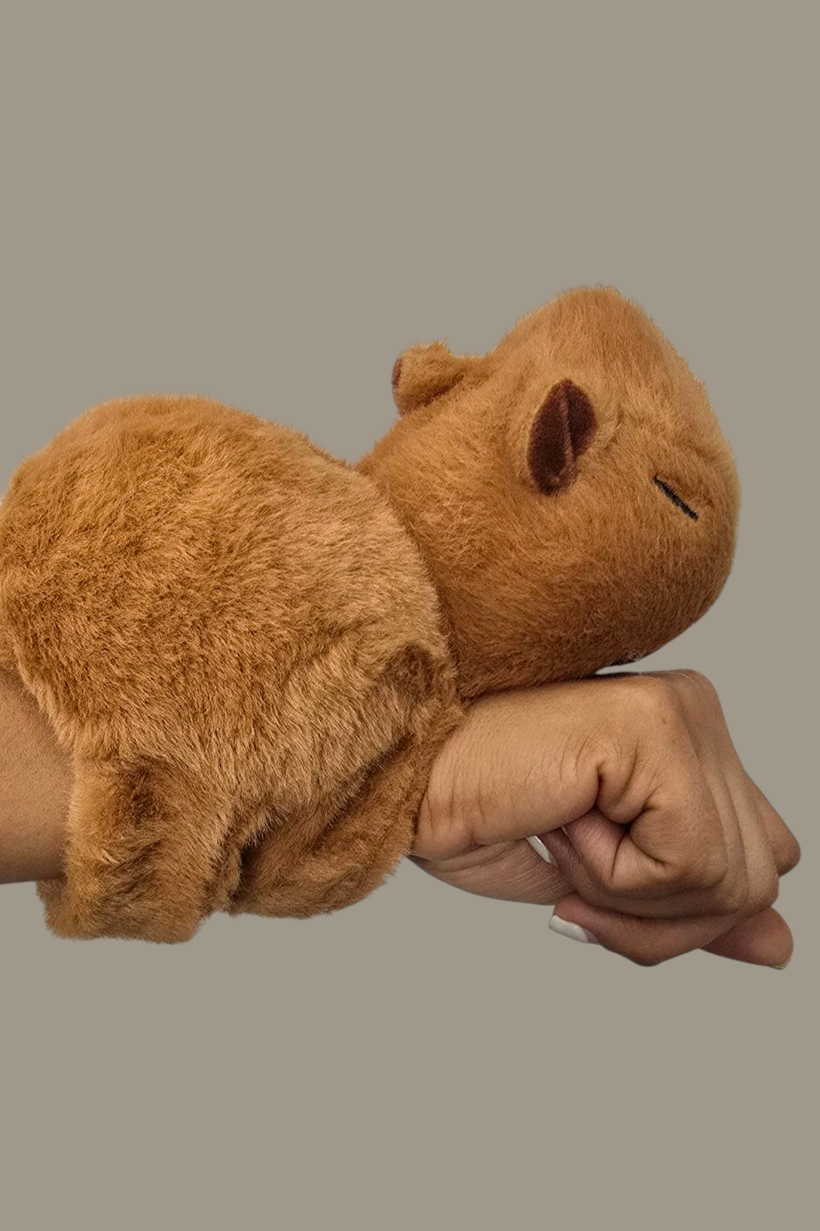 CAPIBARA MANILLA