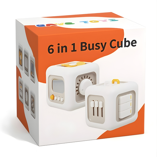 CUBO DIDACTICO