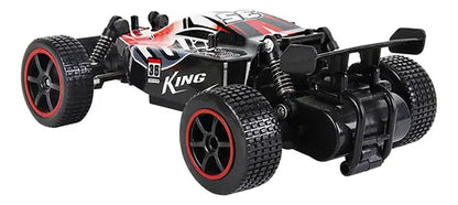 CARRO A CONTROL REMOTO F1