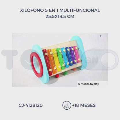 XILÓFONO 5 EN 1 MULTIFUNCIONAL (18M+)